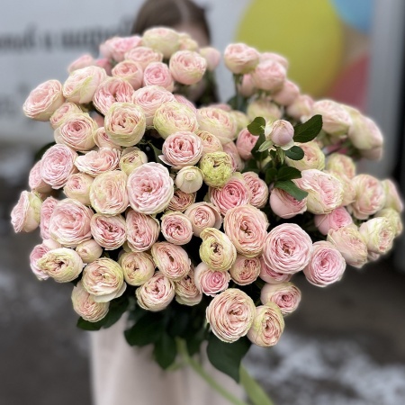 25 кустовых роз "Пинк Жизель" 60см 25 кустовых роз "Пинк Жизель" 60см
