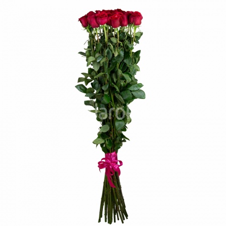 Букет из 21 красной метровой розы, (Эквадор)