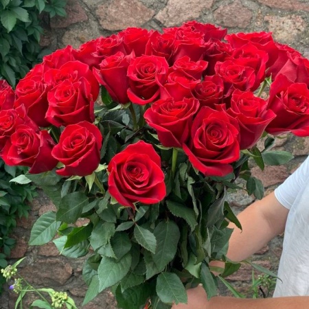 Букет из 25 красной метровой розы, (Эквадор) 100см