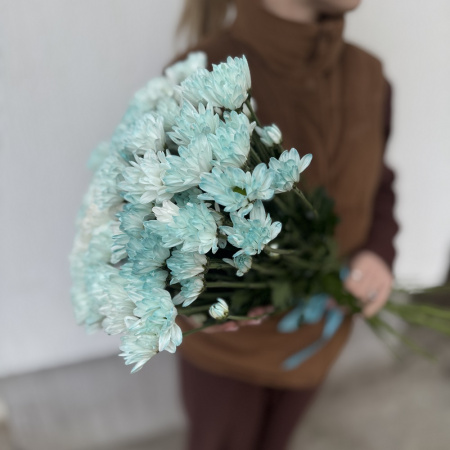 Акция, 15 бирюзовых хризантем