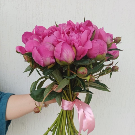 Акция, 25 малиновых пионов