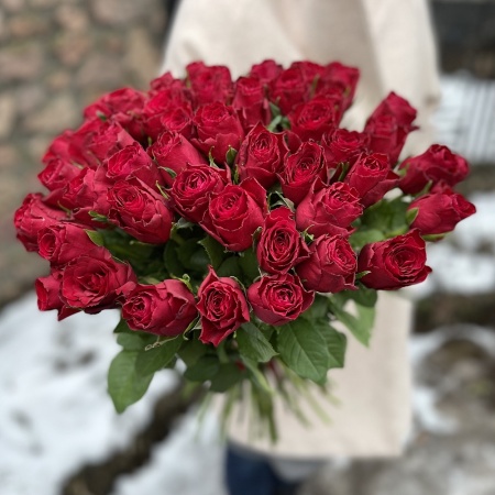 Акция, 51 "Кенийская Камала" 50см