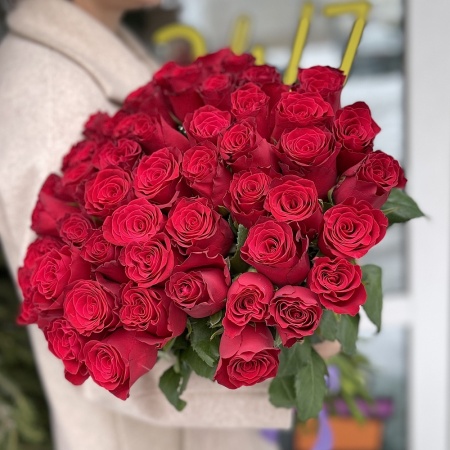 Акция, 51 красная роза Родос (Кения) 50см