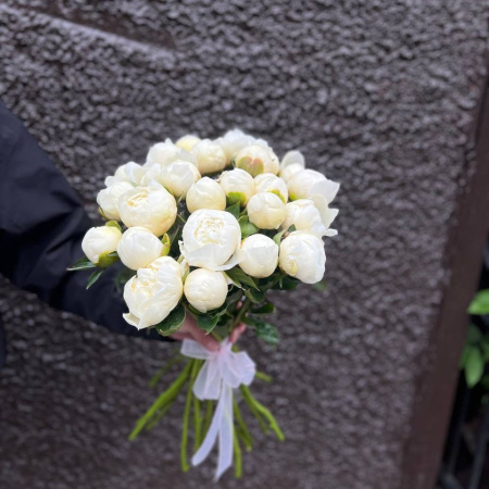 Акция, 25 белых пионов