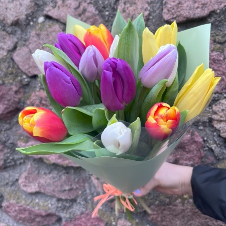 Микс из 15 тюльпанов