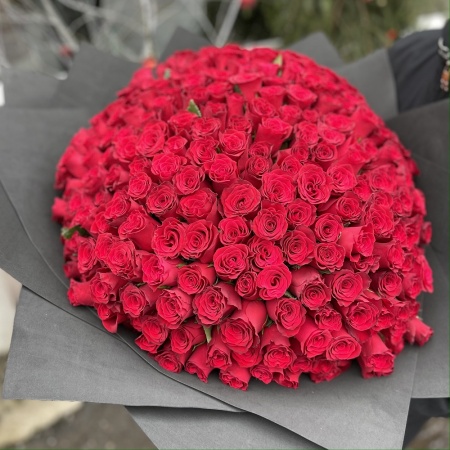 Букет из 303 премиум роз (Импорт)