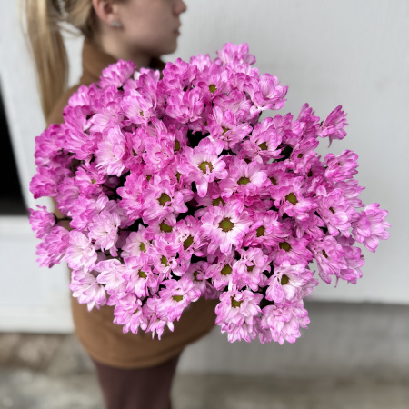 Акция, 15 розовых хризантем