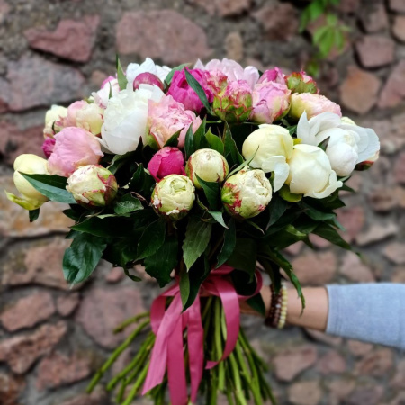 51 пион "Микс"