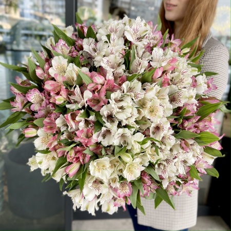 Букет из 51 альстромерии, Эквадор