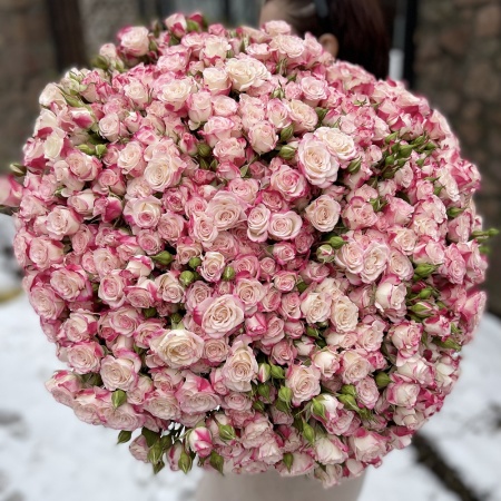 Букет из 101 кустовой розы "Рефлекс"