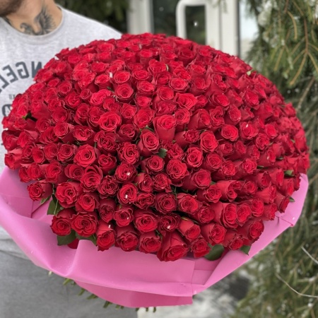 Букет из 303 роз (Импорт)