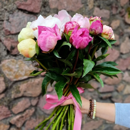 Акция, 25 пионов "Микс"
