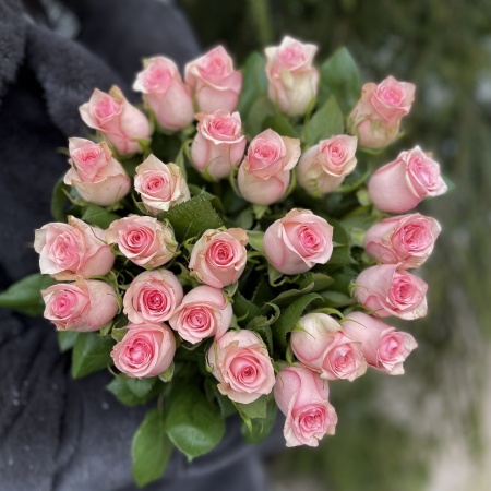 Букет из 25 роз "Кенийская Розовая"