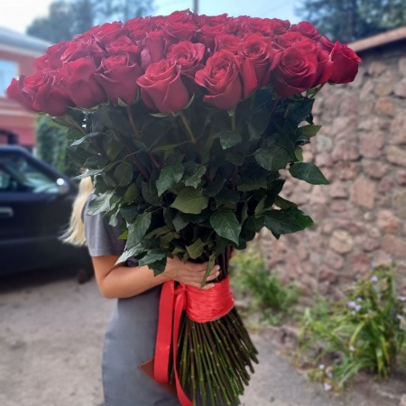 Букет из 101 красной метровой розы, (Эквадор)100см